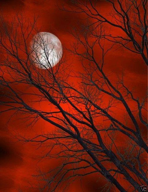 moon on orange sky